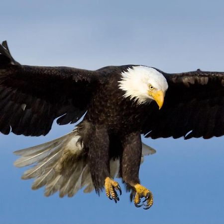 شقة Eagles Land إدنبرة المظهر الخارجي الصورة