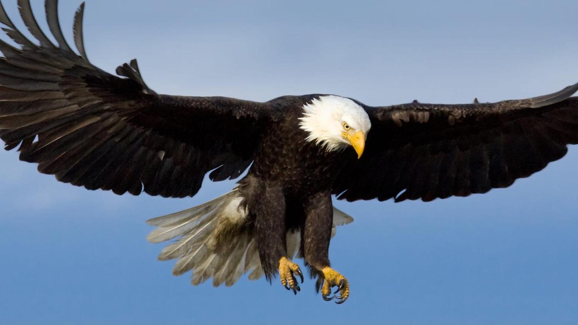 شقة Eagles Land إدنبرة المظهر الخارجي الصورة